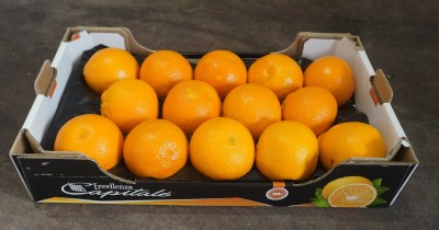 Foto Arance Tarocco Calibro 2 Origine Italia Marchio 'Eccellenza Capitale'   1